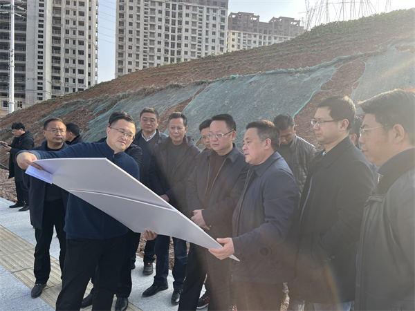 1月19日汪凯县长一行调研集团项目建设（安博anbo(中国)大厦）.jpg